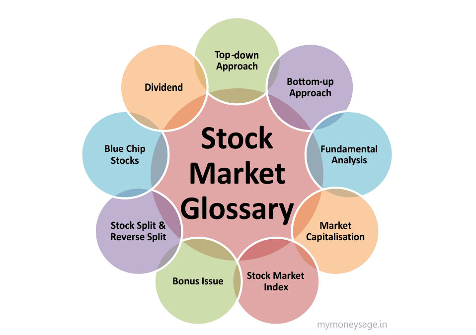investor learning stock market terminology while reviewing portfolio